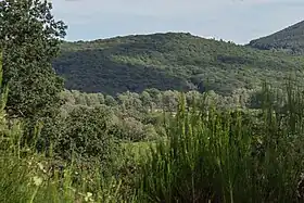 Image illustrative de l’article Puy de Tressous