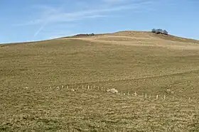 Vue du puy de la Vaisse.