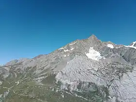 L'aiguille des Glaciers avec à ses pieds le glacier d'Estelette depuis le sud.
