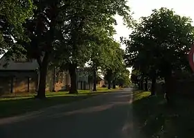 Pyszczyn (Grande-Pologne)