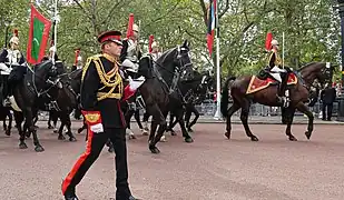 Escorte à cheval des Blues et Royals (en).