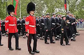 Marins tirant le State Gun Carriage (en).