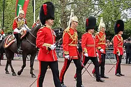 Officiers supérieurs de la Household Division.