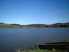 Queue de l'étang de la Cantache.