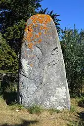Menhir de Goulvarc'h