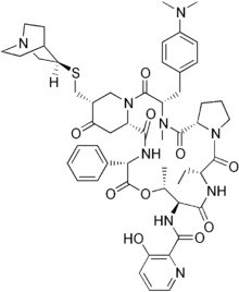 Image illustrative de l’article Quinupristine-dalfopristine
