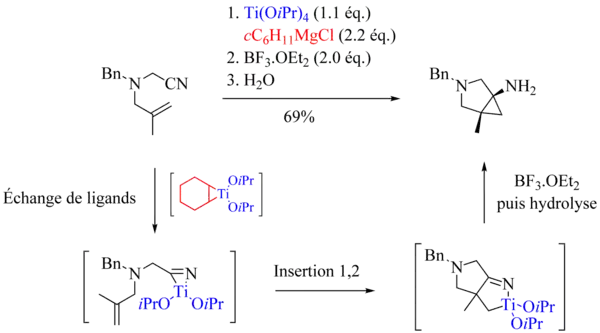 Réactions de Kulinkovich-Szymoniak intramoléculaires