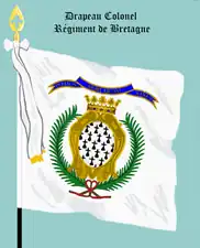 Drapeau Colonel