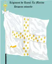 Blanc, partagé en quatre par une grande croix blanche semée de fleurs de lys d'or.