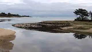 L'estuaire de la Saire.