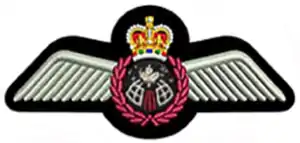 Insigne d'astronaute de l'Aviation royale canadienne