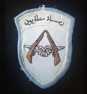 Image illustrative de l’article Régiments de fusiliers commandos de l'air