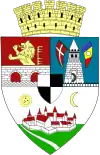 Blason de Timişoara