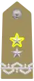 Insigne de cuirasse de général de division à titre honoraire
