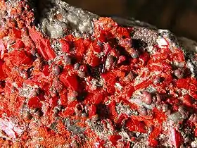 Image illustrative de l’article Réalgar