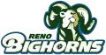 Bighorns de Reno (2008 à 2017)