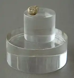 Réplique de la dent de lait BL02-J54-100 de l'enfant d'Orce d'environ 1,4 Ma