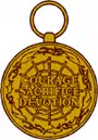 Antarctica Service Medal