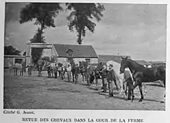 revue des hommes et chevaux.