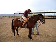 Une jeune femme en short et portant des lunettes de soleil tente de mettre son étrier sur un petit cheval bai.
