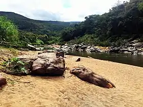 Turmalina (Minas Gerais)