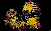 Image illustrative de l’article Rituximab