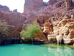 Vue de la guelta de Tikoubaouine dans le Tassili n'Ajjer.
