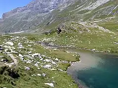 Exutoire du lac de la Plagne dans le Ponturin.