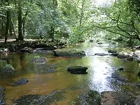 Image illustrative de l’article Forêt de Pontcallec