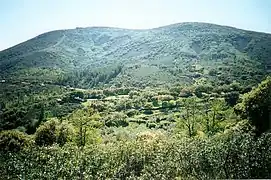 Paysage et végétation du Montes de Toledo.