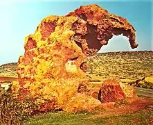 Rocher de l'éléphant, sculpture prénuragique haute de 4 mètres et fortement érodée par les éléments. Elle est située dans la ville de Castelsardo en Sardaigne. L'éléphant disparait de Sardaigne à la fin de la période glaciaire soit 10 500 av. J.-C..