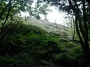 Rocher de Rathsamhausen.