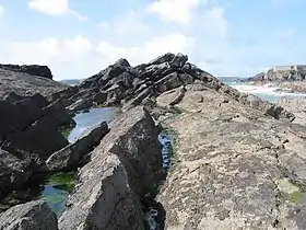 Extrémité ouest de la péninsule d'Angle.Au fond, l'île de Thorn.