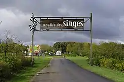 Image illustrative de l’article Vallée des singes (France)