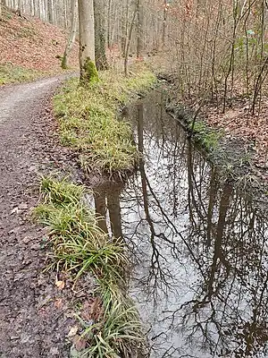 Le Roodkloosterbeek à la hauteur de la Halfuurdreef (en hiver)