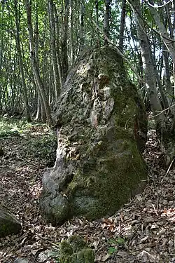 Image illustrative de l’article Pierres Velières