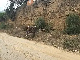 Image illustrative de l’article Route nationale 3 (Haïti)