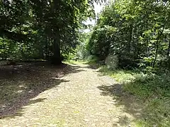 Route du bois Belle-Fille.