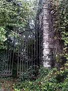 Neder-over-Heembeek : grille du pavillon du château de Meudon.