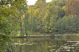 Couleurs de l'automne.