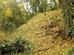 À  l'intérieur du bosquet (circonvallation).