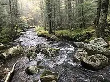 Ruisseau de la Morte à Chalmazel.