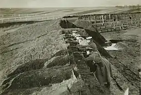 Image illustrative de l’article 11e armée (Empire russe)