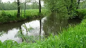 Bystrzyca (Kraśnik)