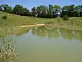 Vue générale de la mare naturelle