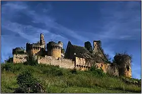 Le château de Paluel.