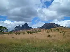 savane ouverte, guarico.