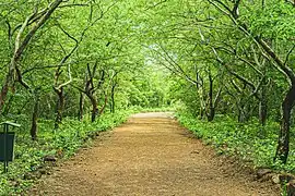 Sentier pédestre à Bangr Woego