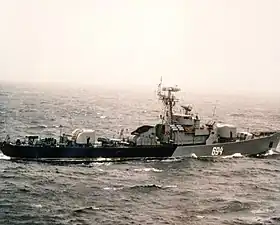 Image illustrative de l'article Classe Petya