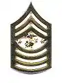 Sergeant major of the Marine Corps, insigne de col.
